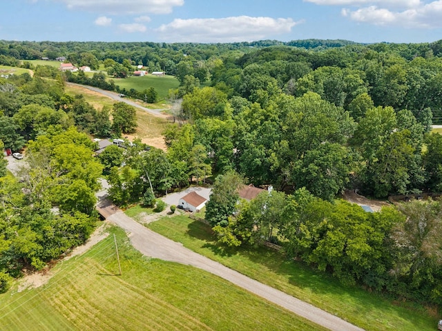 449 Martin Ln, Cottontown, TN 37048 - photo 43