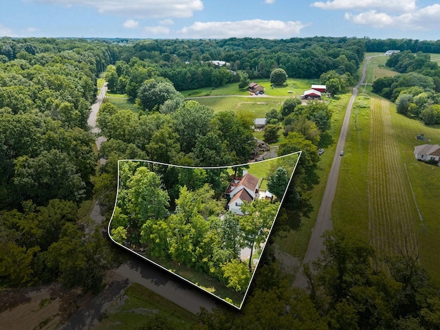 449 Martin Ln, Cottontown, TN 37048 - photo 45