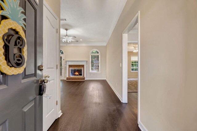 1000 Bolton Dr, Smyrna, TN 37167 - photo 5