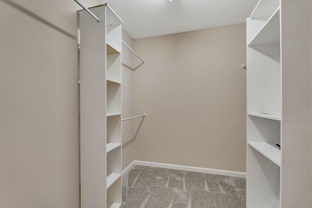 1000 Bolton Dr, Smyrna, TN 37167 - photo 22