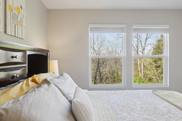3225 Brookberry Ln, Murfreesboro, TN 37129 - view of bedroom