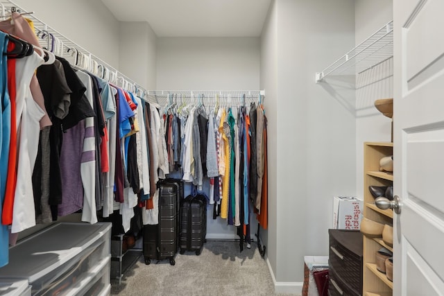 3225 Brookberry Ln, Murfreesboro, TN 37129 - spacious closet with carpet