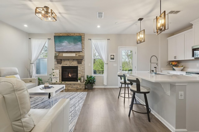 3225 Brookberry Ln, Murfreesboro, TN 37129 - living area with wood finished floors, a fireplace, and recessed lighting