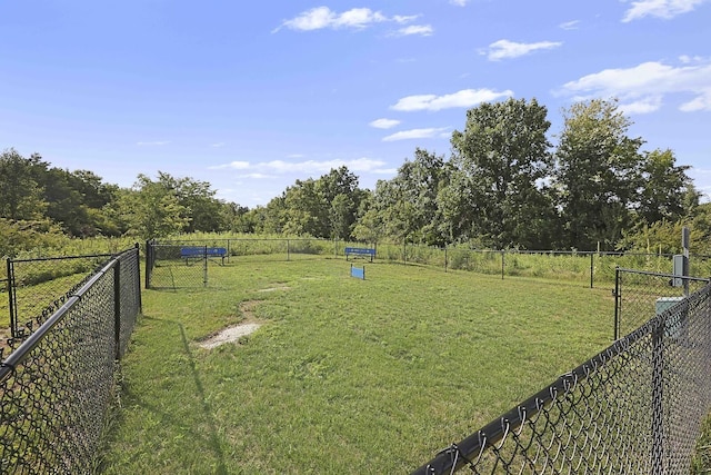 3225 Brookberry Ln, Murfreesboro, TN 37129 - view of yard