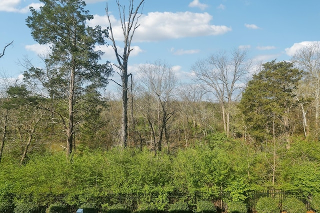 3225 Brookberry Ln, Murfreesboro, TN 37129 - view of tree filled area