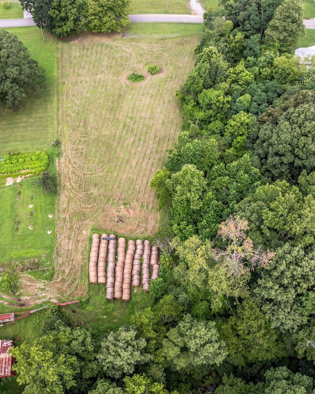 0 Ridge Rd, Mc Ewen, TN 37101 - photo 14