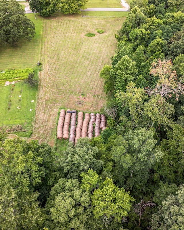 0 Ridge Rd, Mc Ewen, TN 37101 - photo 15