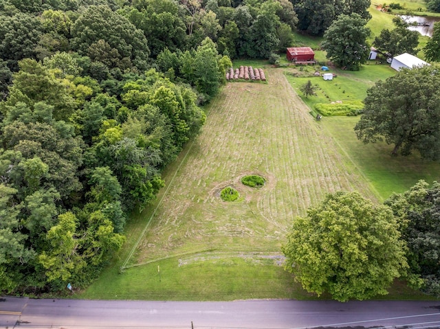 0 Ridge Rd, Mc Ewen, TN 37101 - photo 11