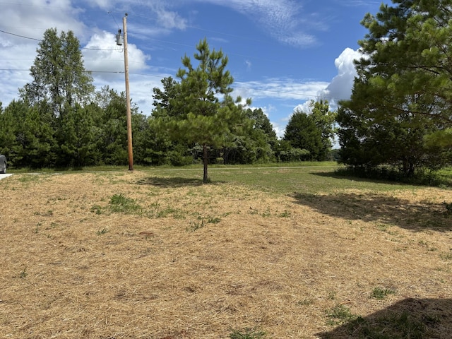 6620 High Meadow Ct, Nunnelly, TN 37137 - photo 24