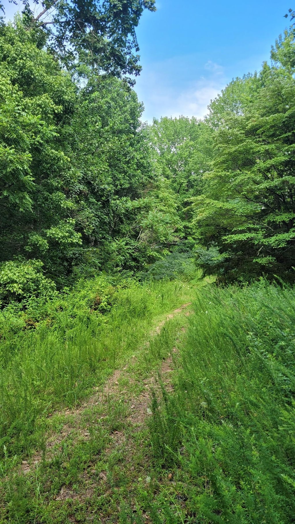 1 Sugar Ridge Rd, Spring Hill, TN 37174 - photo 3