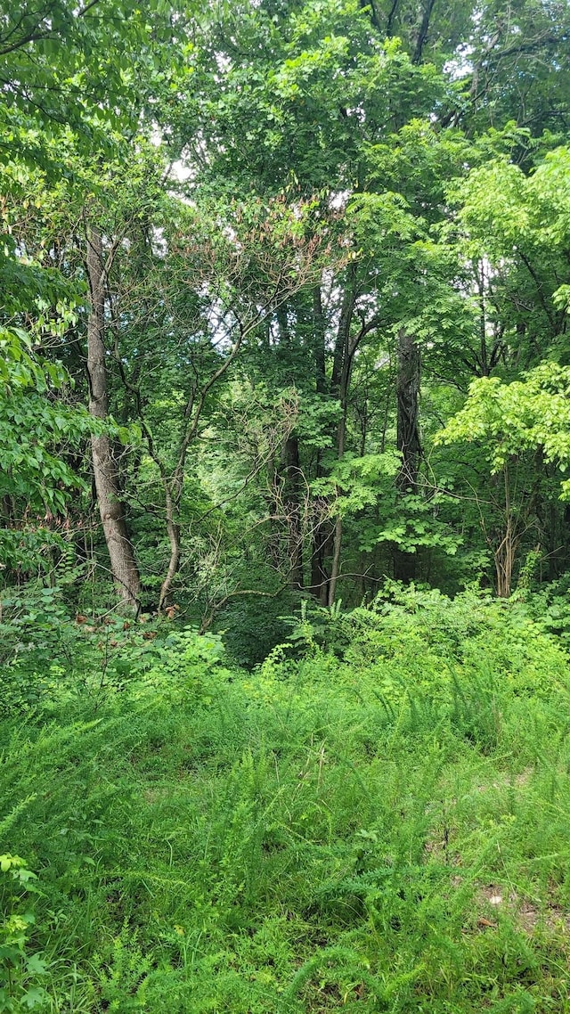 1 Sugar Ridge Rd, Spring Hill, TN 37174 - photo 2