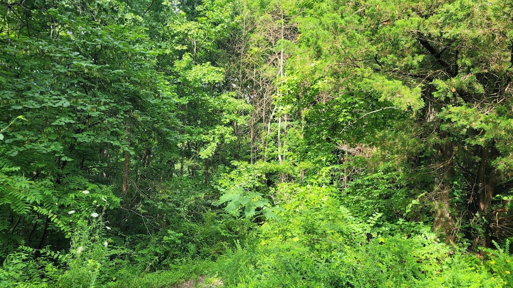 1 Sugar Ridge Rd, Spring Hill, TN 37174 - photo 1