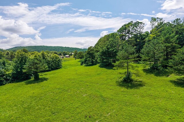 0 Clay Holman Rd, Sparta, TN 38583 - photo 13