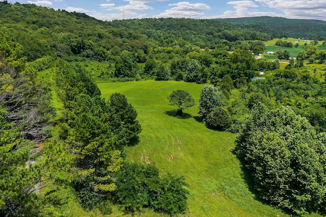 0 Clay Holman Rd, Sparta, TN 38583 - photo 14