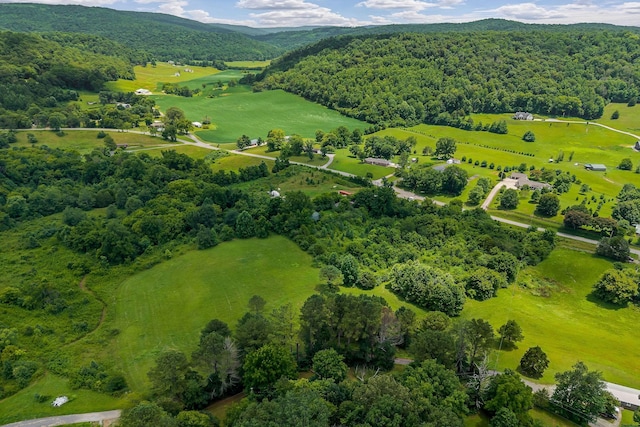 0 Clay Holman Rd, Sparta, TN 38583 - photo 6