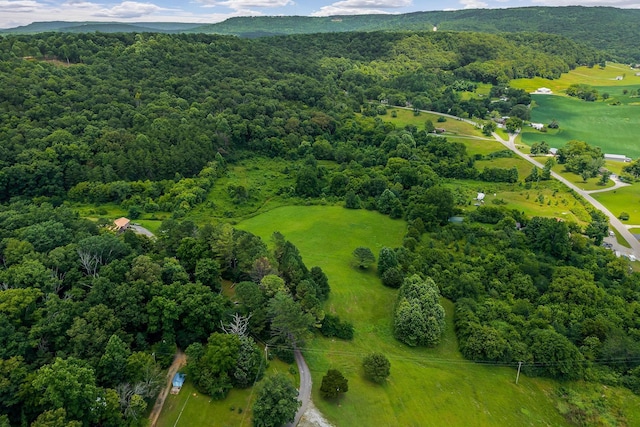 0 Clay Holman Rd, Sparta, TN 38583 - photo 5