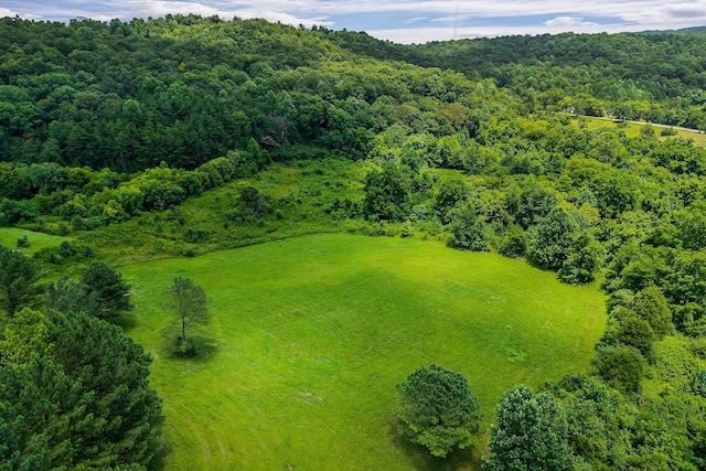 0 Clay Holman Rd, Sparta, TN 38583 - photo 1