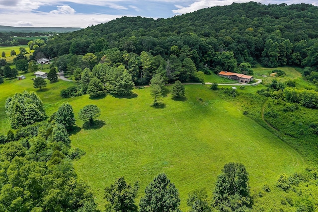 0 Clay Holman Rd, Sparta, TN 38583 - photo 10