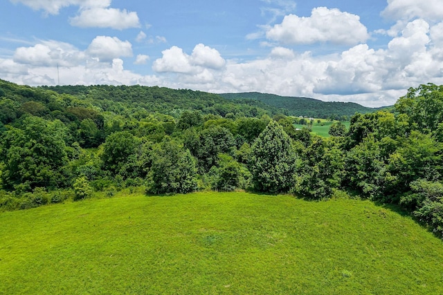 0 Clay Holman Rd, Sparta, TN 38583 - photo 12