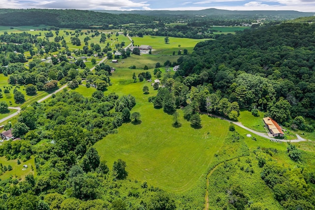 0 Clay Holman Rd, Sparta, TN 38583 - photo 8