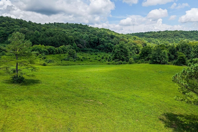 0 Clay Holman Rd, Sparta, TN 38583 - photo 11