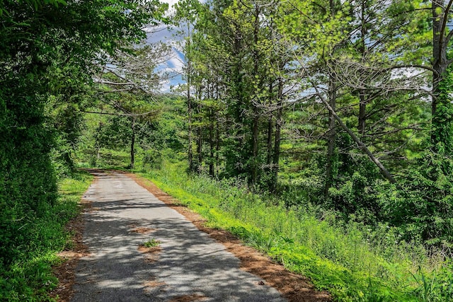 0 Clay Holman Rd, Sparta, TN 38583 - photo 15