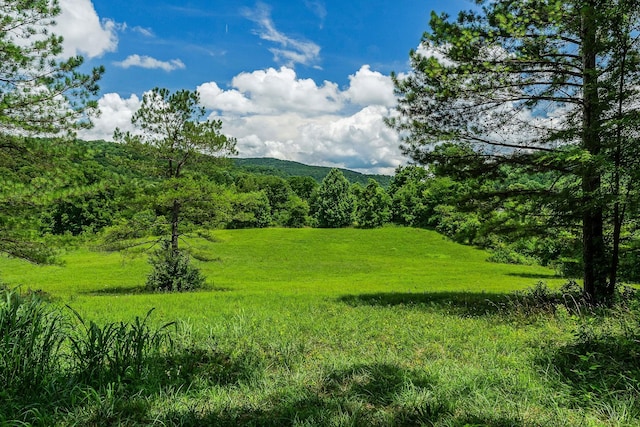 0 Clay Holman Rd, Sparta, TN 38583 - photo 16
