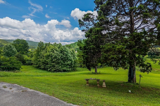 0 Clay Holman Rd, Sparta, TN 38583 - photo 2