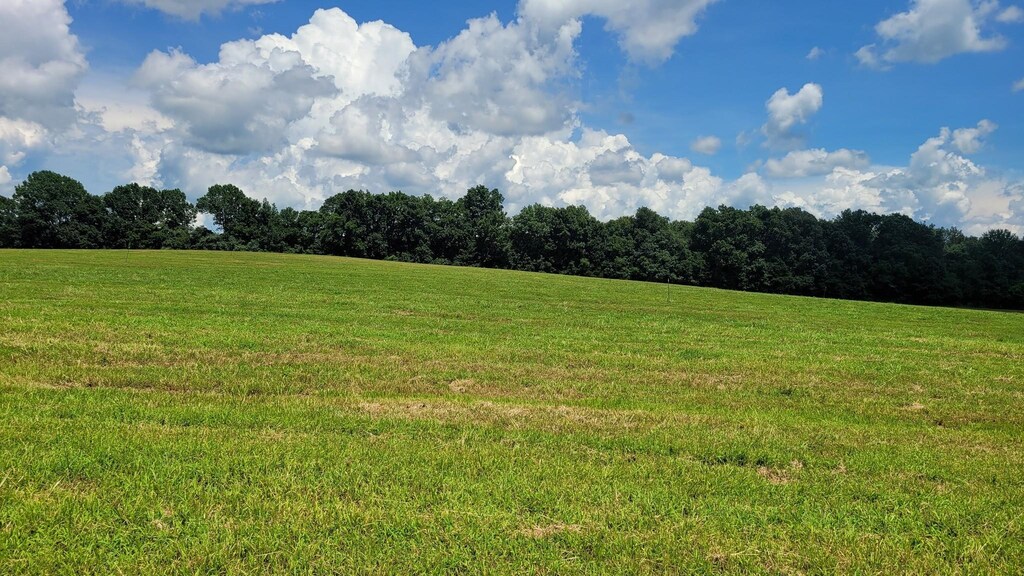7 Mount Lebanon Church Rd, Shelbyville, TN 37160 - photo 1