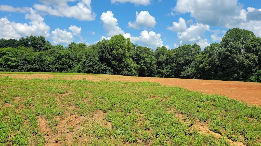 8 Mount Lebanon Church Rd, Shelbyville, TN 37160 - photo 2