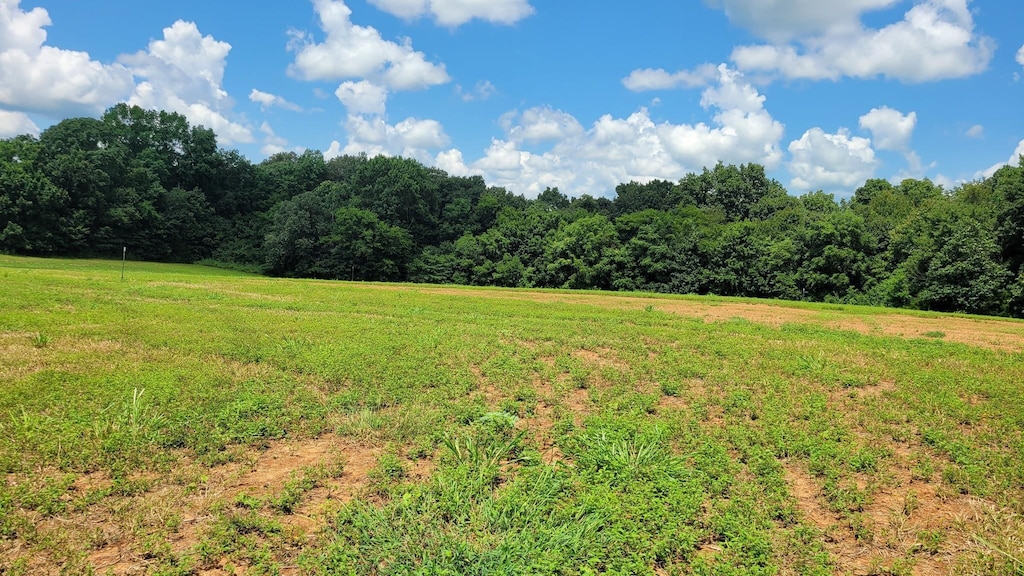 8 Mount Lebanon Church Rd, Shelbyville, TN 37160 - photo 1