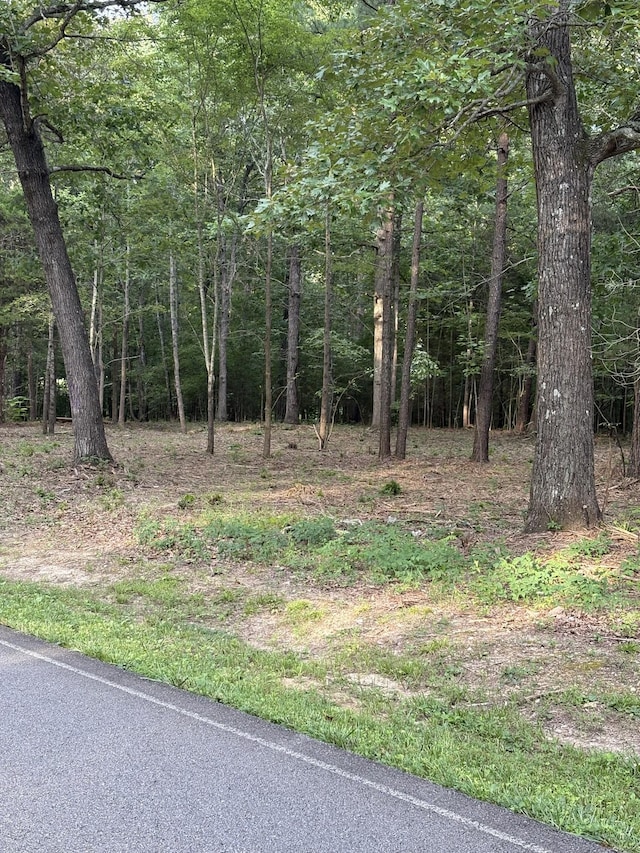 0 Iron Hill, Burns, TN 37029 - photo 2