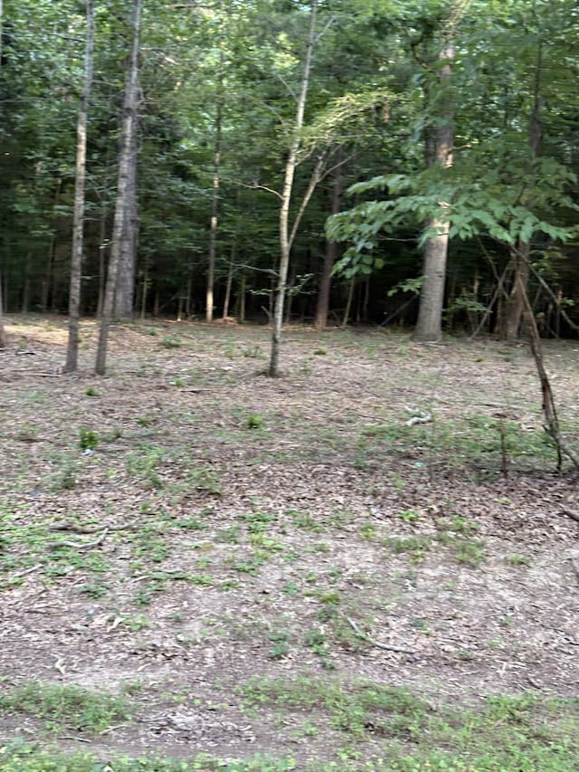 0 Iron Hill, Burns, TN 37029 - photo 4