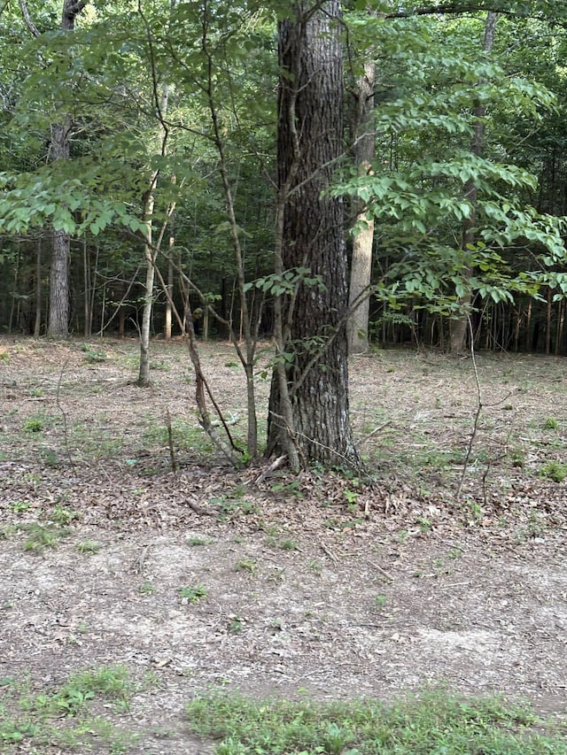 0 Iron Hill, Burns, TN 37029 - photo 3