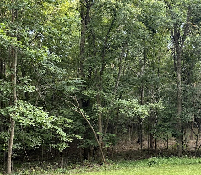 0 Iron Hill, Burns, TN 37029 - photo 6