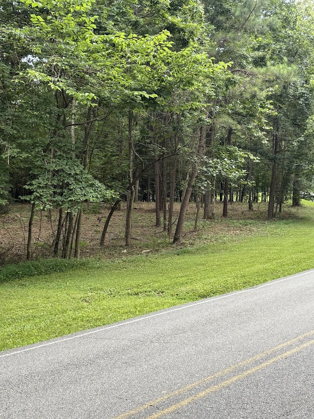 0 Iron Hill, Burns, TN 37029 - photo 5