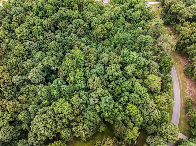 0 Iron Hill, Burns, TN 37029 - photo 11