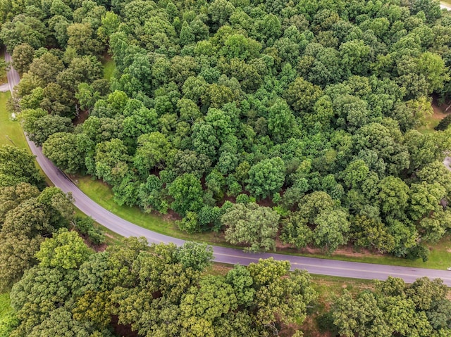 0 Iron Hill, Burns, TN 37029 - photo 8