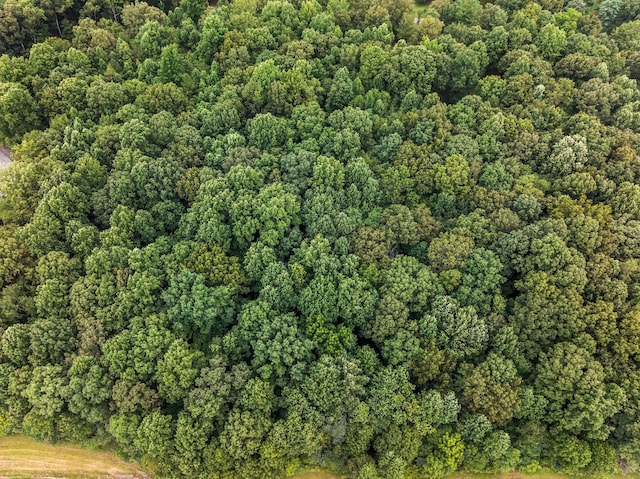 0 Iron Hill, Burns, TN 37029 - photo 10