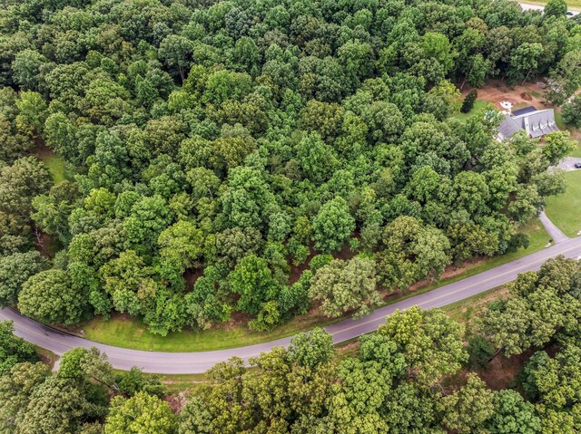 0 Iron Hill, Burns, TN 37029 - photo 7