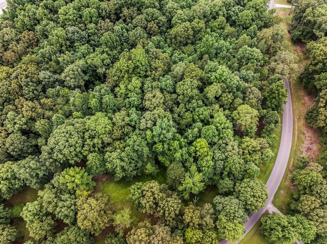 0 Iron Hill, Burns, TN 37029 - photo 12