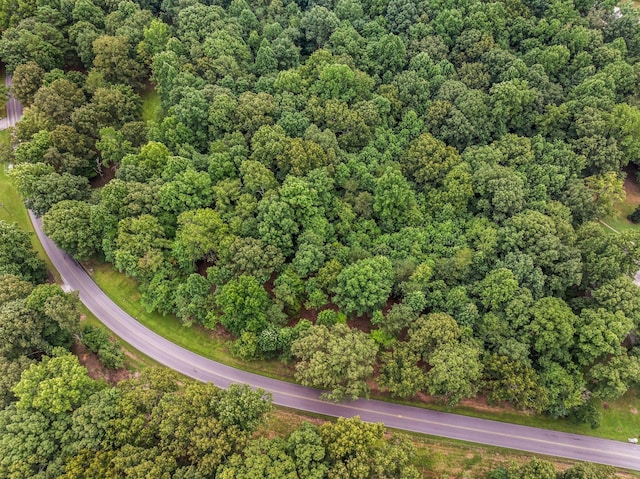 0 Iron Hill, Burns, TN 37029 - photo 1