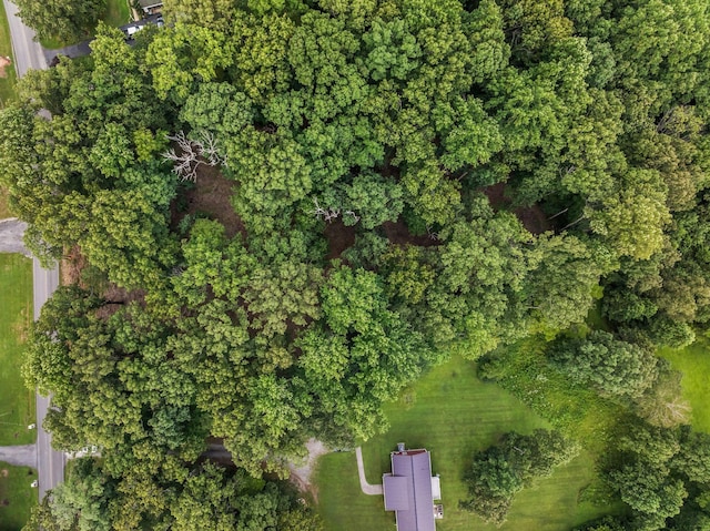 0 Iron Hill, Burns, TN 37029 - photo 13