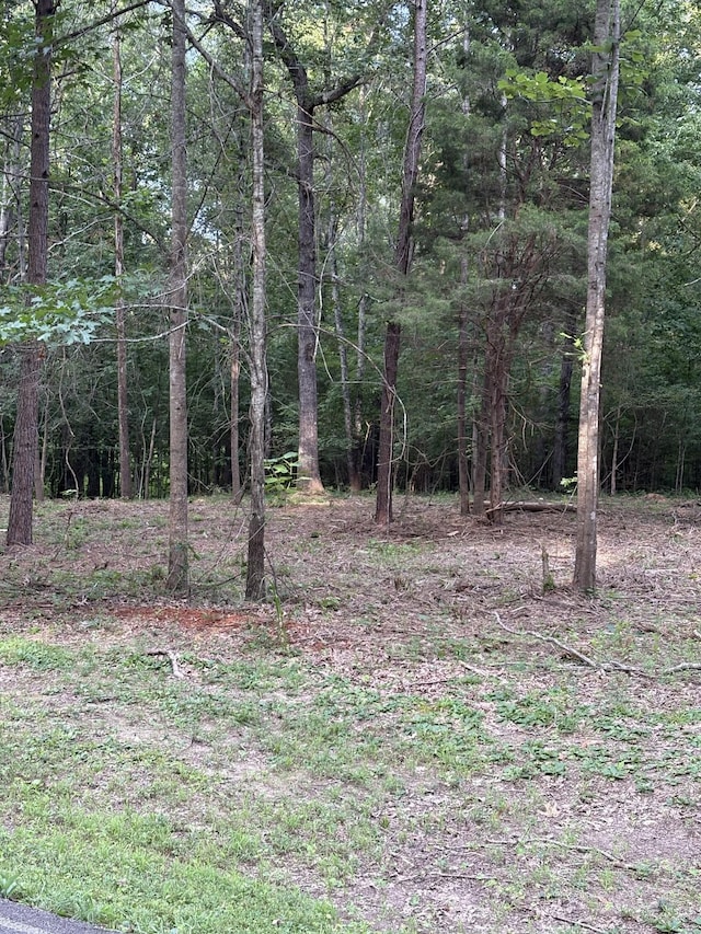 0 Iron Hill Rd, Burns, TN 37029 - photo 4