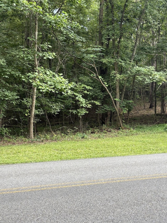 0 Iron Hill Rd, Burns, TN 37029 - photo 10