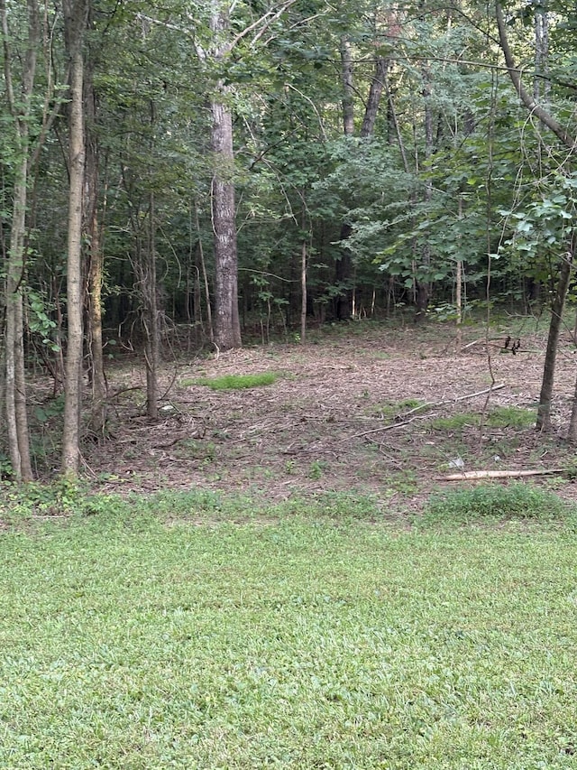 0 Iron Hill Rd, Burns, TN 37029 - photo 6