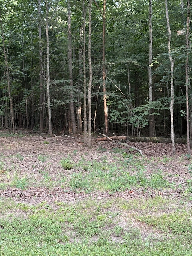 0 Iron Hill Rd, Burns, TN 37029 - photo 2