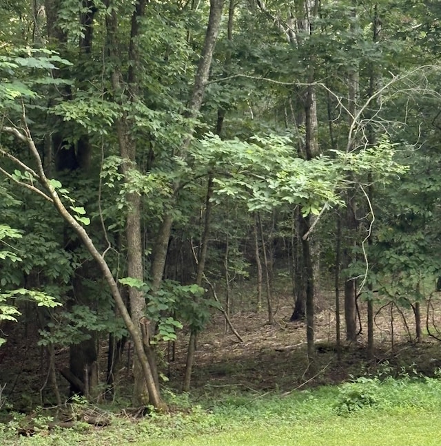0 Iron Hill Rd, Burns, TN 37029 - photo 11