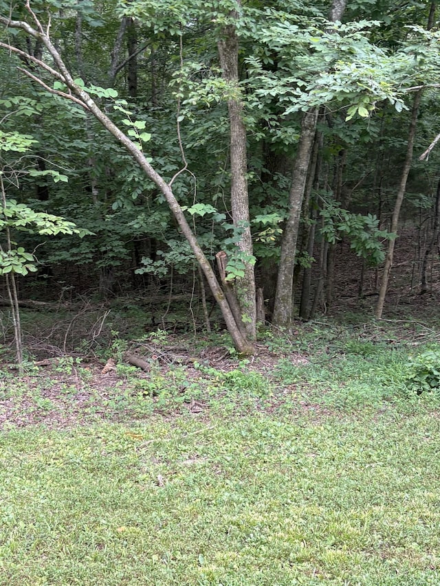 0 Iron Hill Rd, Burns, TN 37029 - photo 7