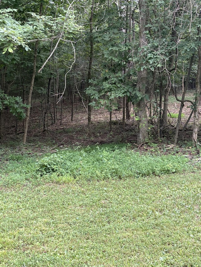 0 Iron Hill Rd, Burns, TN 37029 - photo 8